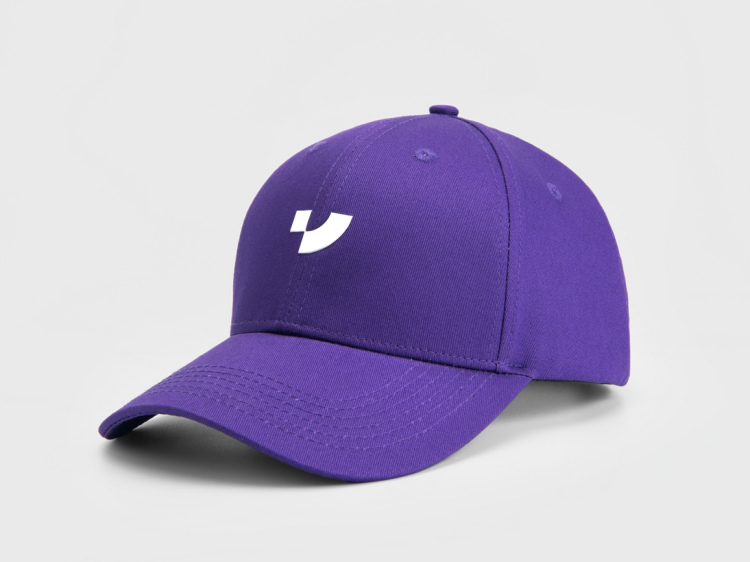 「绛紫很酷」 鸭舌帽