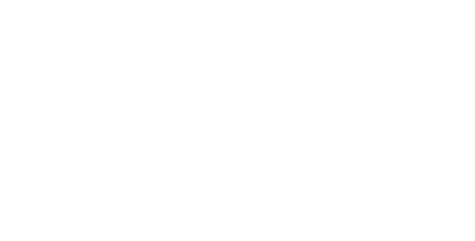 极越 01 AI智能纯电轿车